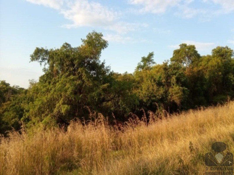 Chácara, 2 hectares - Foto 48