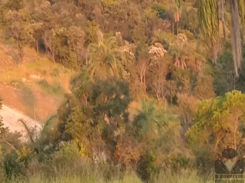 Chácara, 2 hectares - Foto 47