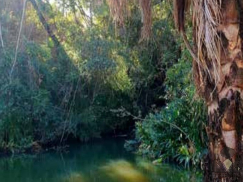 Chácara, 2 hectares - Foto 30