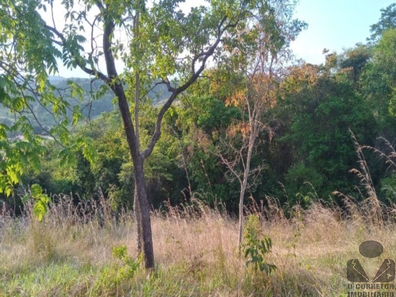 Chácara, 2 hectares - Foto 45