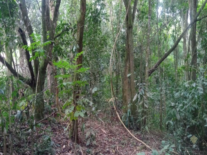 Chácara, 2 hectares - Foto 10