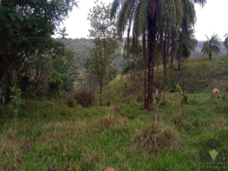 Chácara, 2 hectares - Foto 20