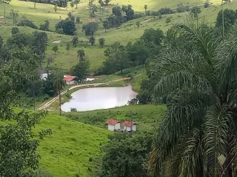 Chácara, 2 hectares - Foto 8