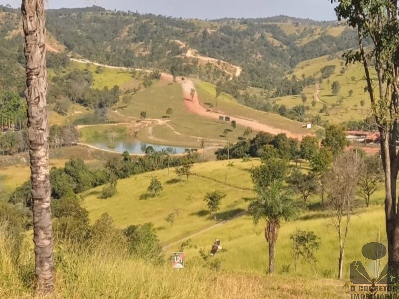 Chácara, 2 hectares - Foto 39