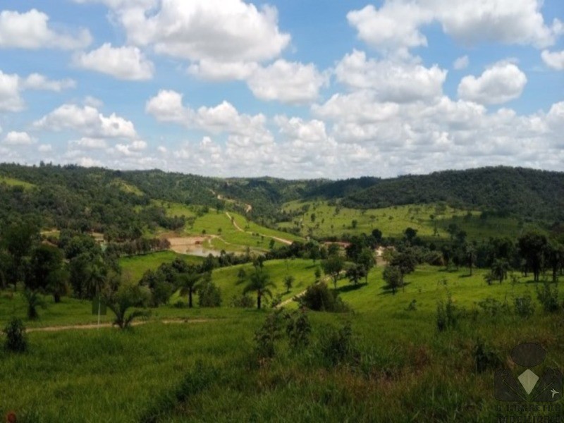 Chácara, 2 hectares - Foto 22