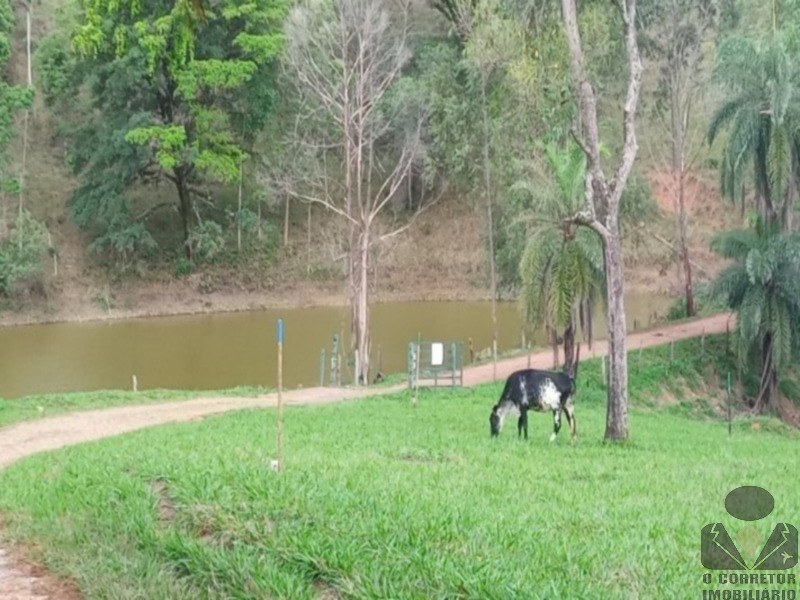 Chácara, 2 hectares - Foto 4