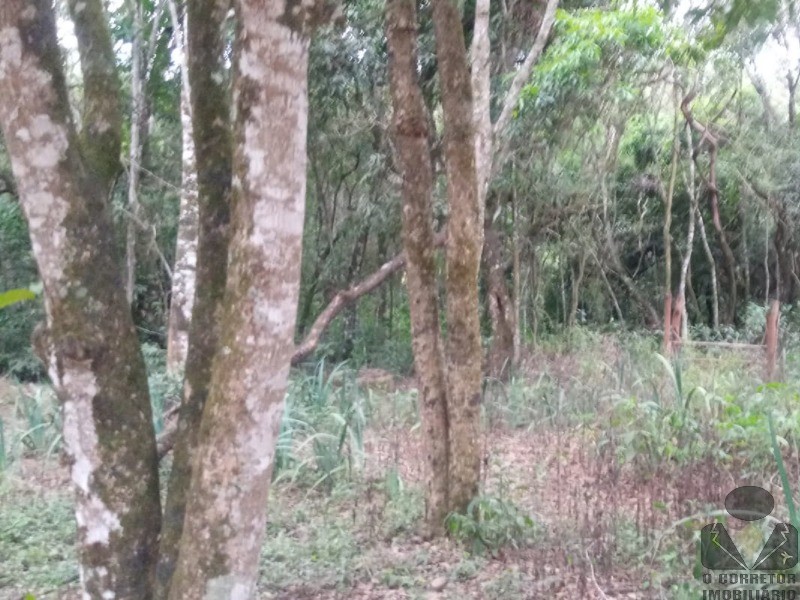 Chácara, 2 hectares - Foto 8