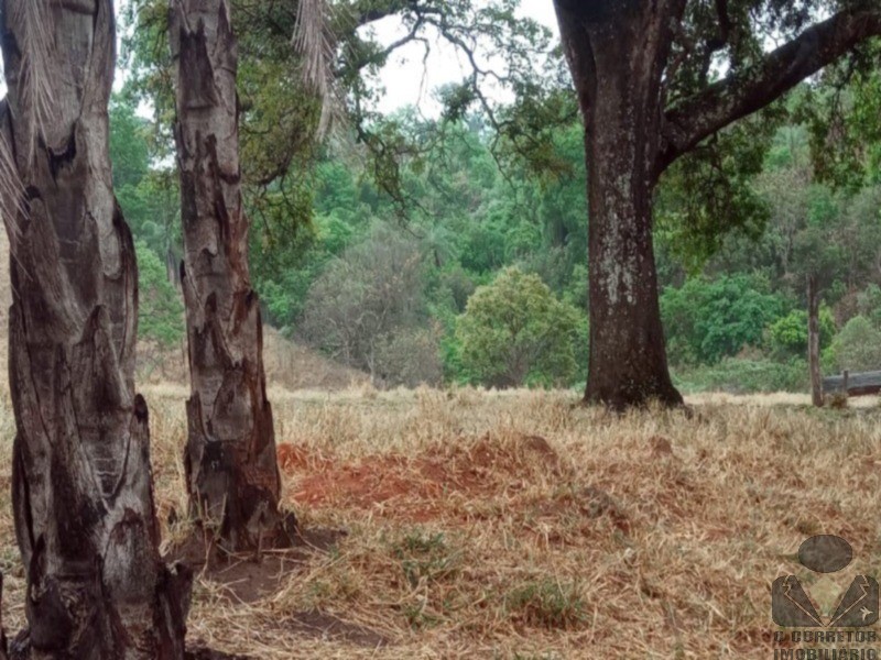 Chácara, 2 hectares - Foto 12