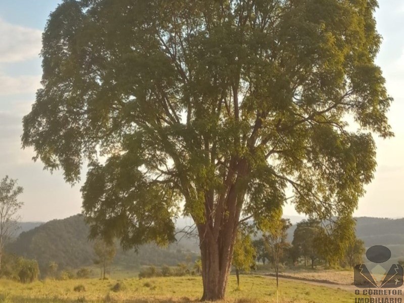 Chácara, 2 hectares - Foto 40