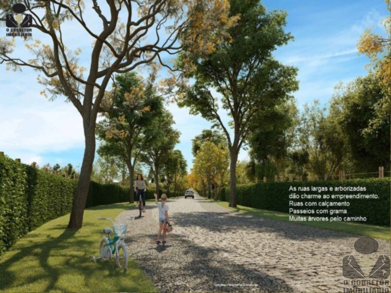 Chácara, 2 hectares - Foto 66