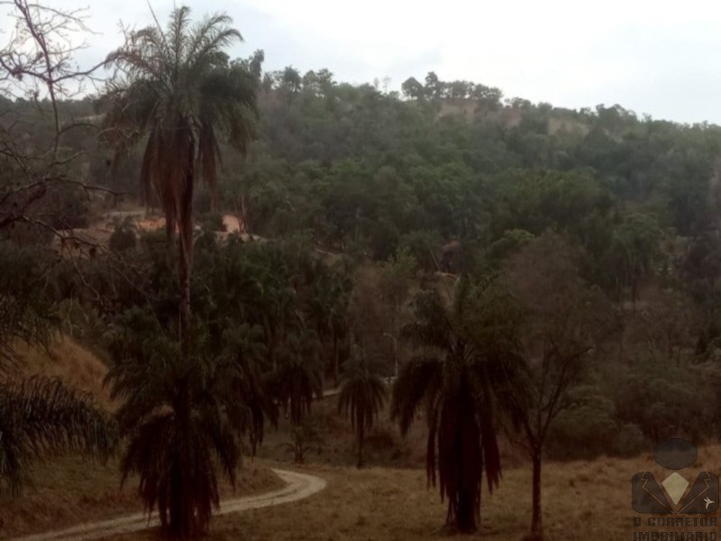 Chácara, 2 hectares - Foto 16