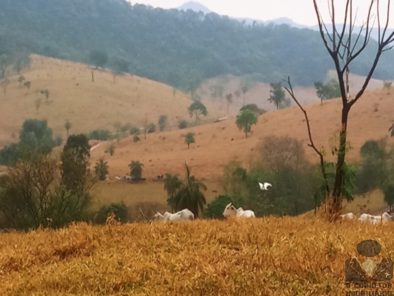 Chácara, 2 hectares - Foto 2