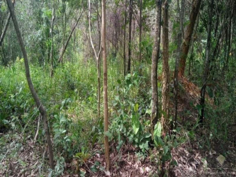 Chácara, 2 hectares - Foto 28