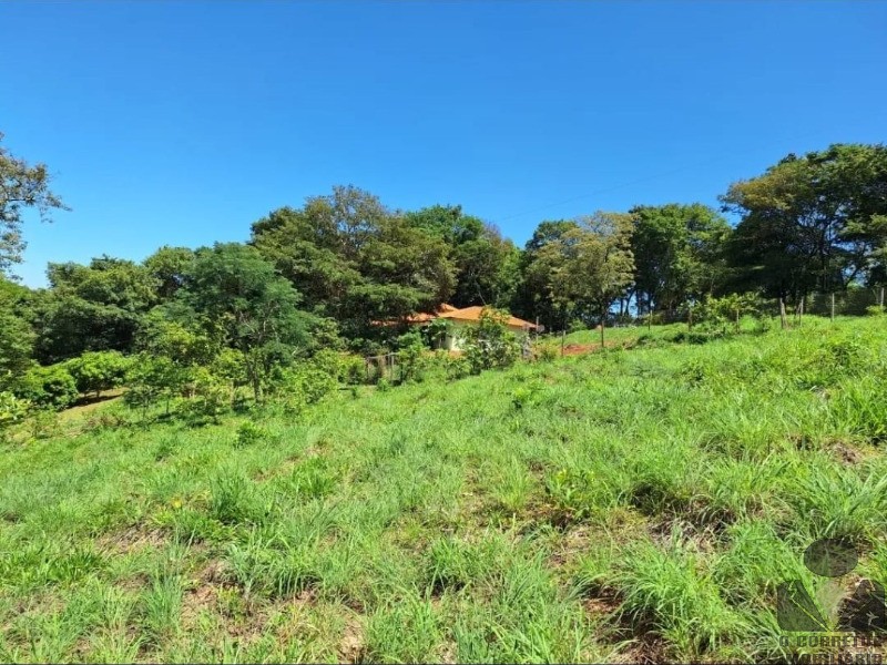 Fazenda, 2 hectares - Foto 6
