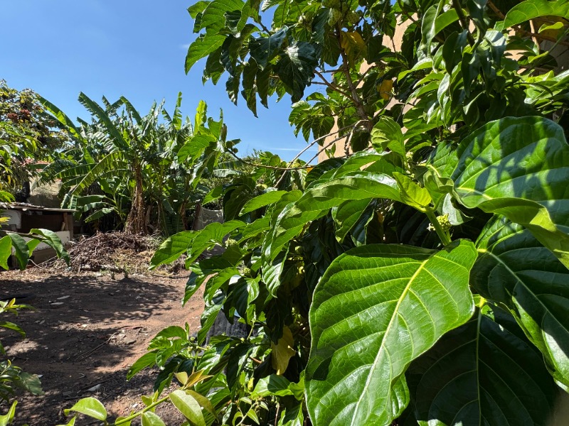 Terreno, 250 m² - Foto 2