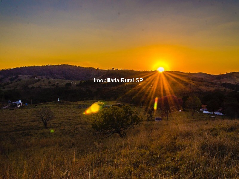 Fazenda à venda - Foto 8