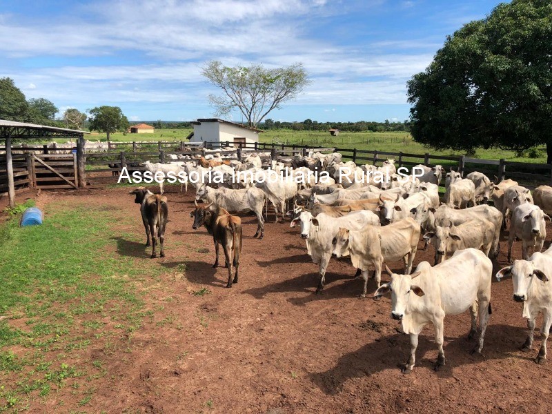 Fazenda à venda - Foto 1