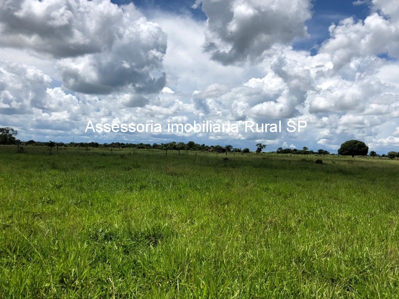 Fazenda à venda - Foto 3