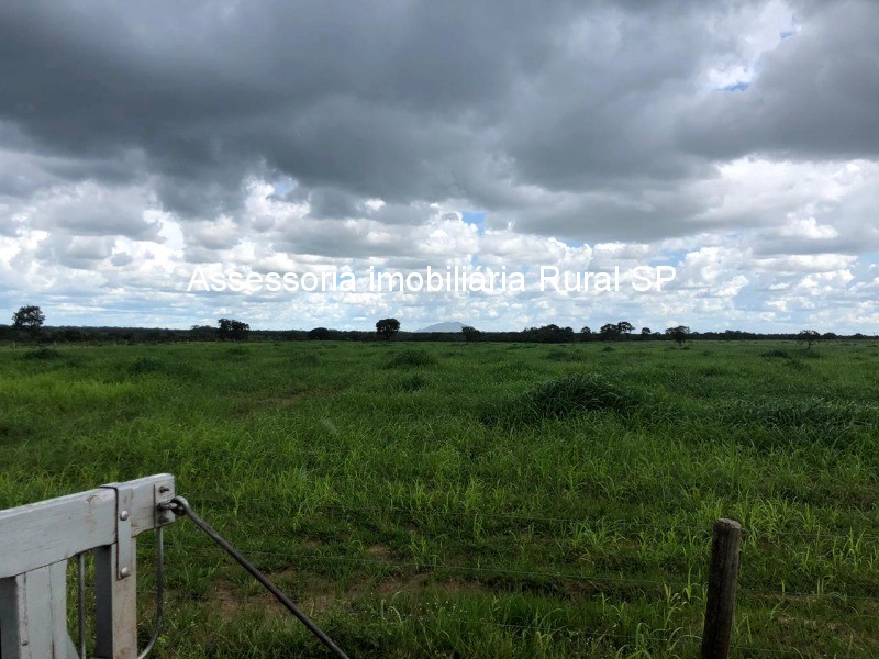 Fazenda à venda - Foto 6