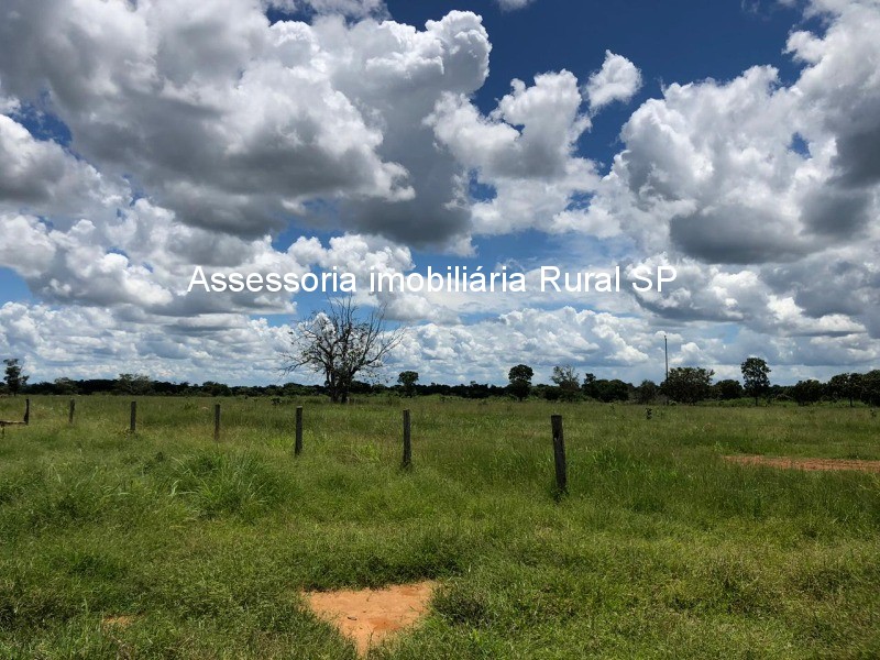 Fazenda à venda - Foto 7