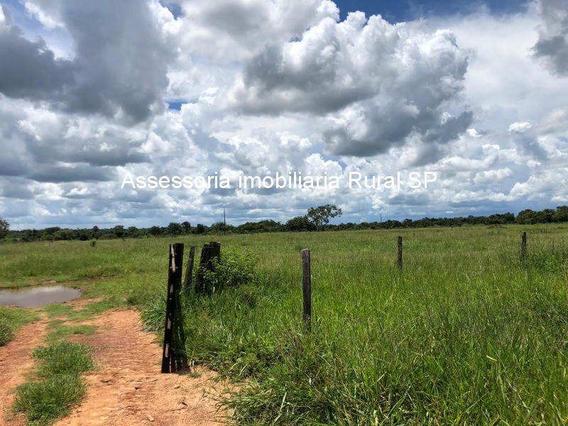 Fazenda à venda - Foto 8