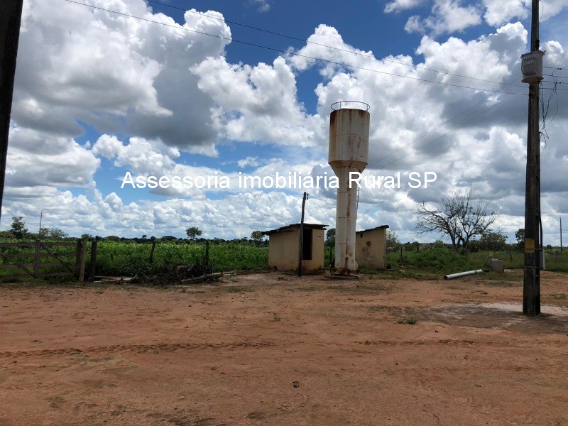 Fazenda à venda - Foto 11