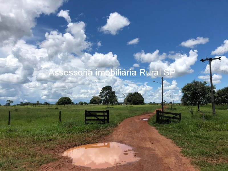 Fazenda à venda - Foto 12