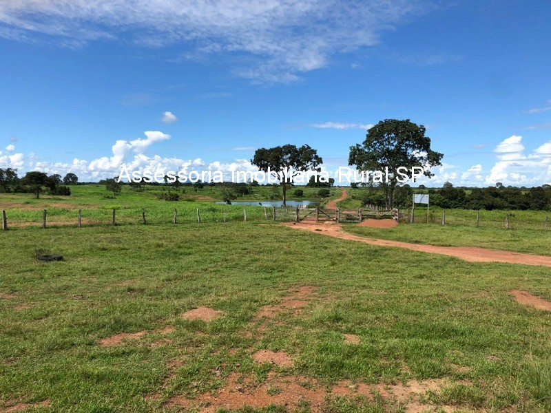 Fazenda à venda - Foto 17