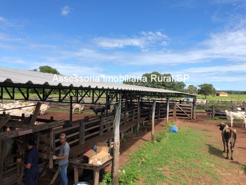 Fazenda à venda - Foto 22