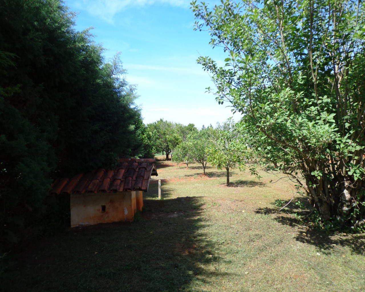 Chácara à venda - Foto 6