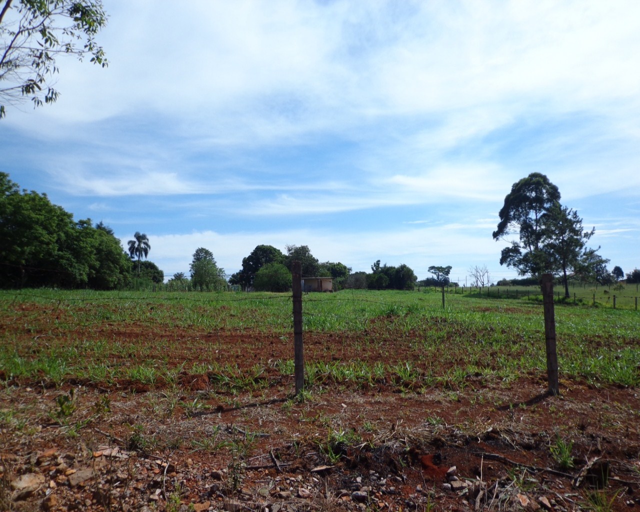 Terreno à venda, 2700m² - Foto 2