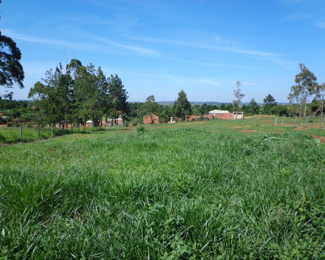 Terreno à venda, 2700m² - Foto 1