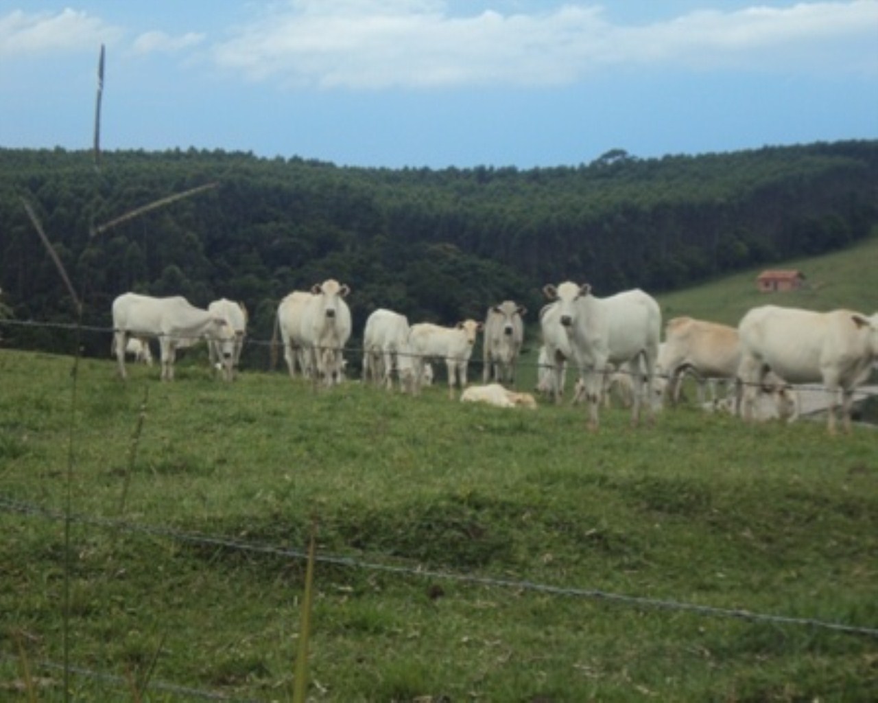 Fazenda à venda - Foto 3