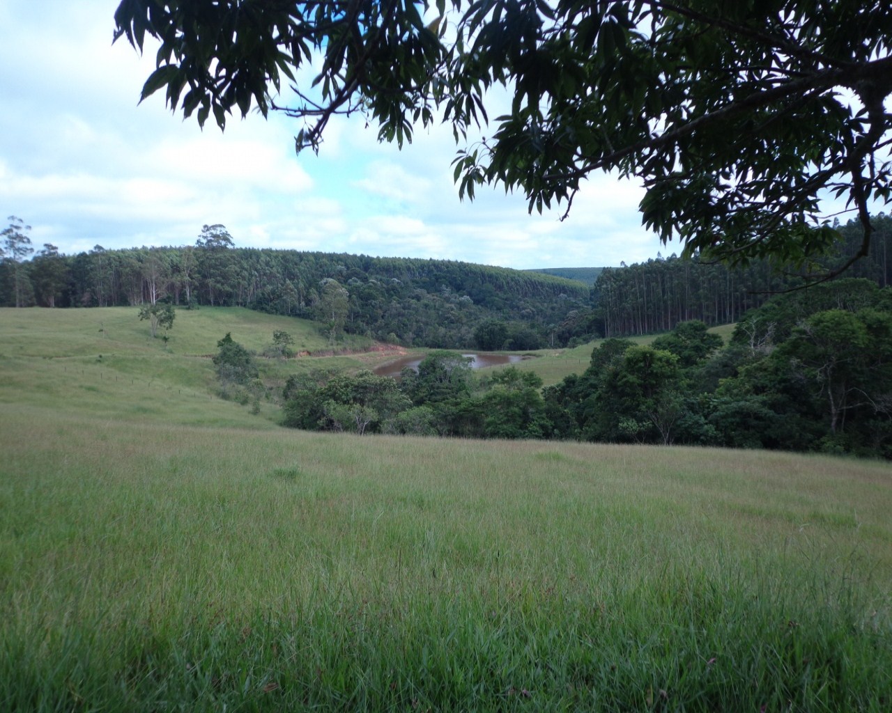 Fazenda à venda - Foto 4