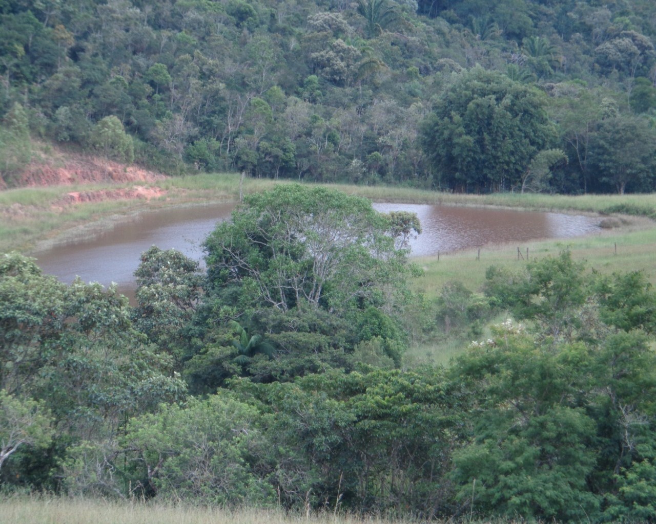 Fazenda à venda - Foto 5