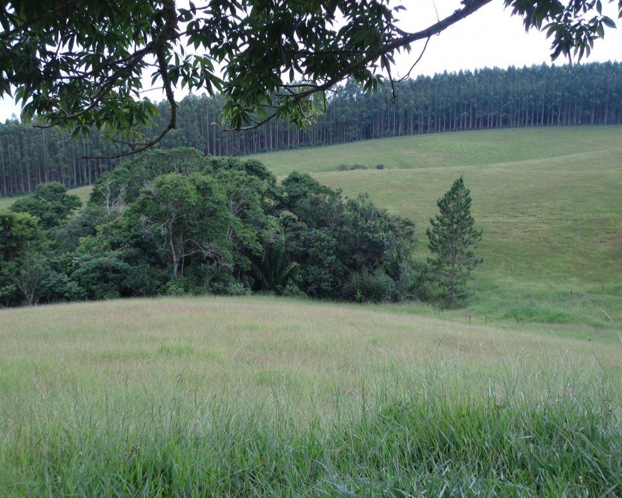 Fazenda à venda - Foto 6