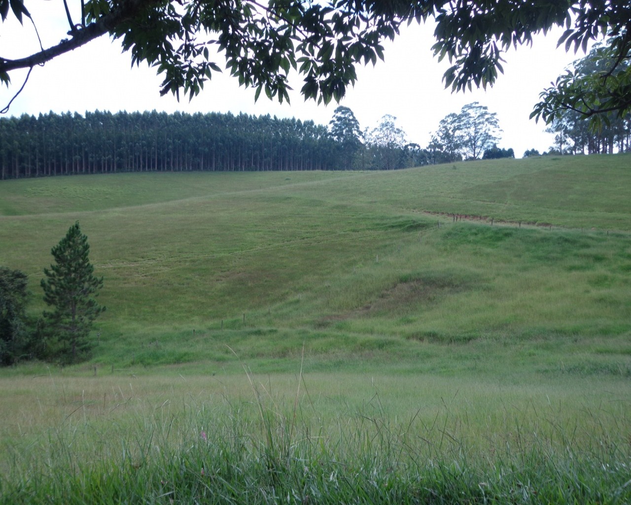 Fazenda à venda - Foto 1