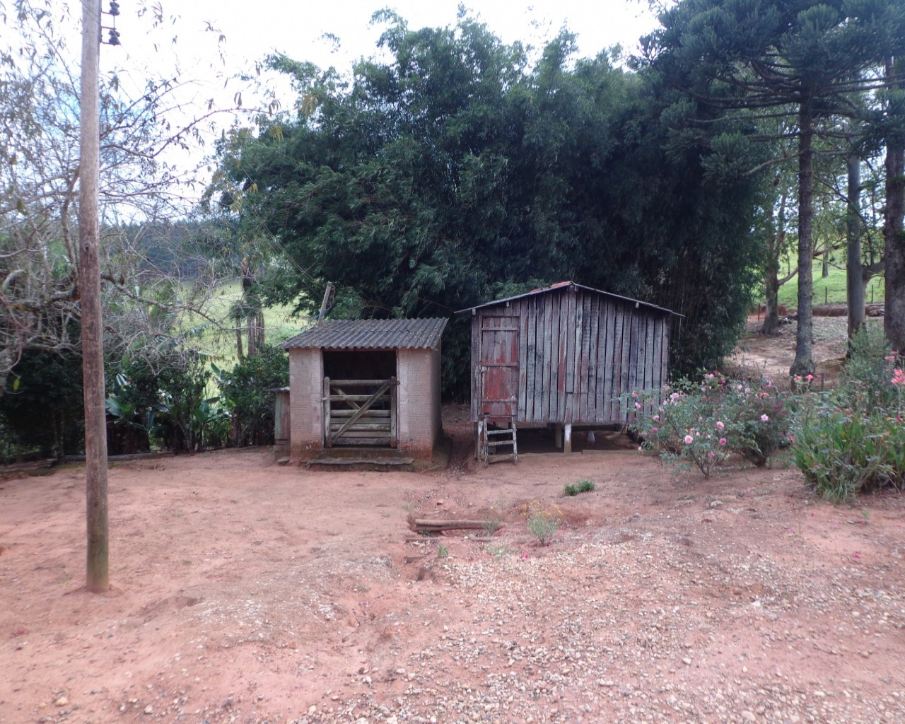 Fazenda à venda - Foto 8