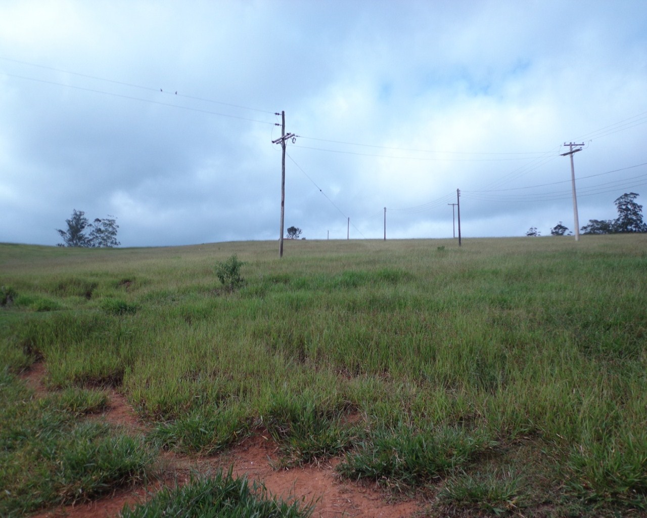 Fazenda à venda - Foto 10