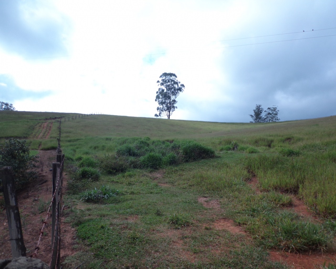 Fazenda à venda - Foto 11