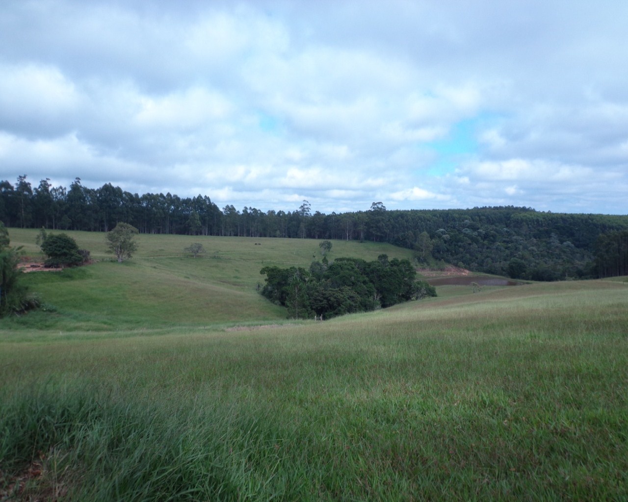 Fazenda à venda - Foto 23