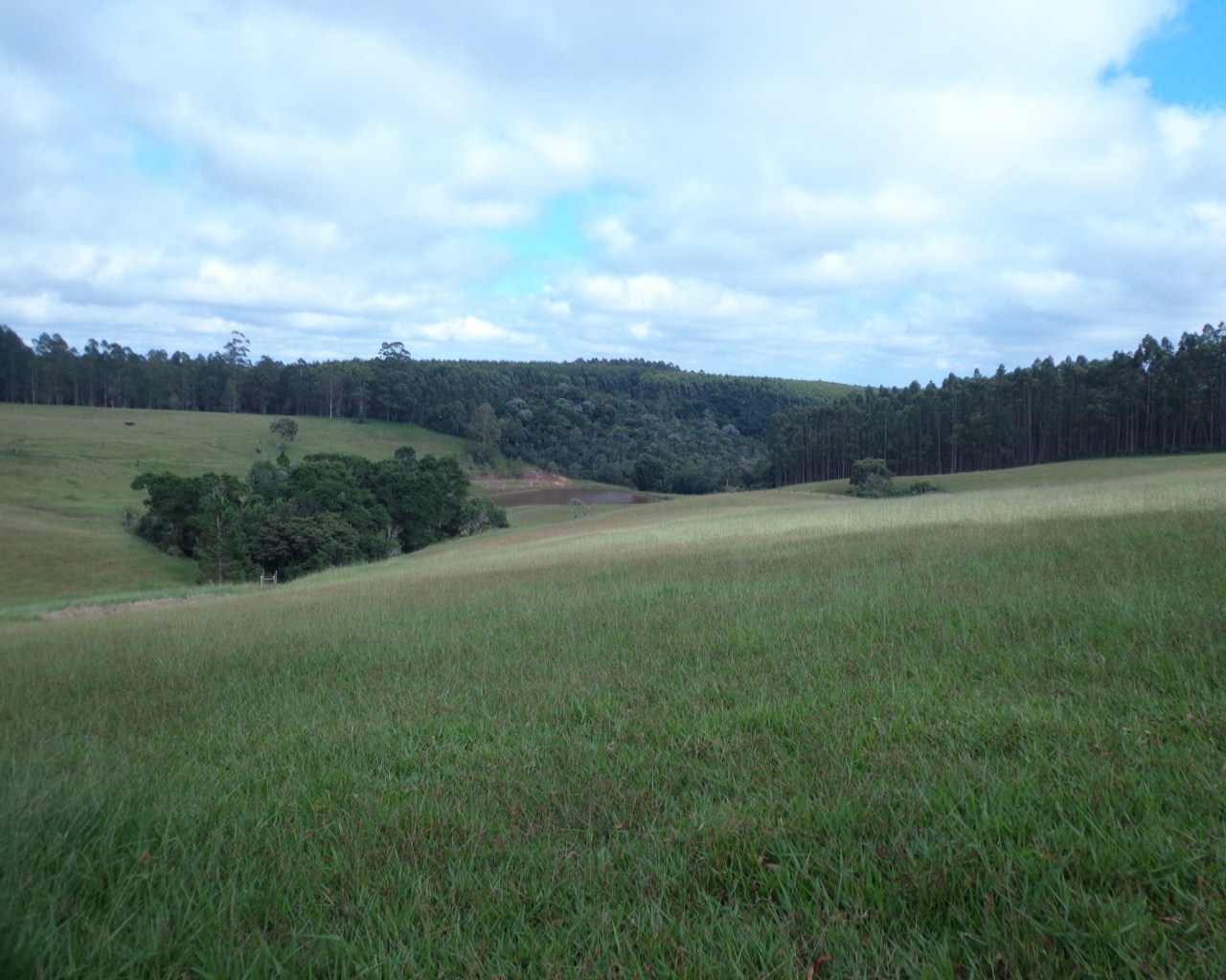 Fazenda à venda - Foto 24