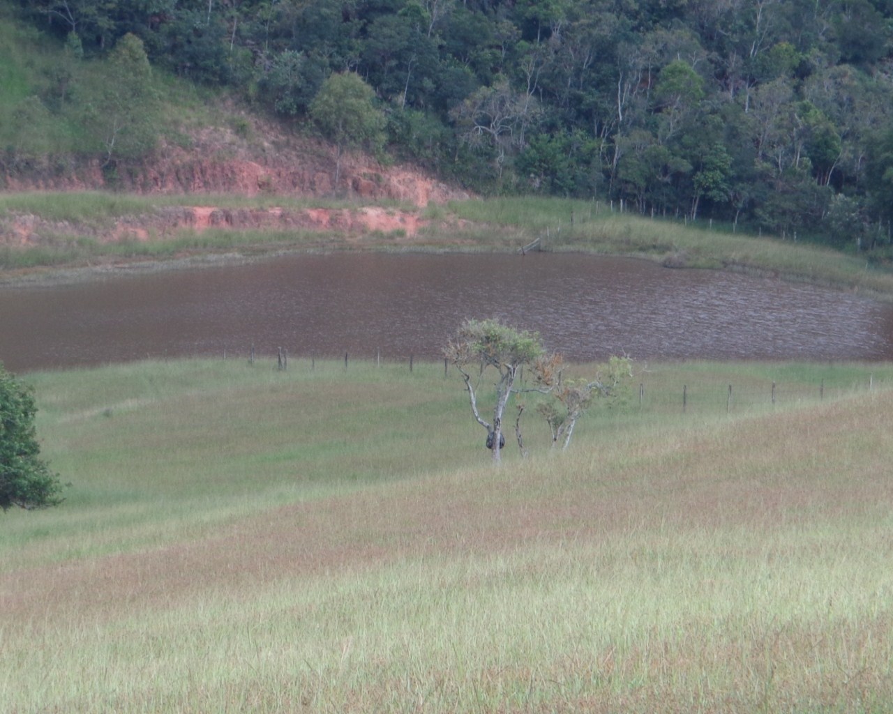 Fazenda à venda - Foto 25