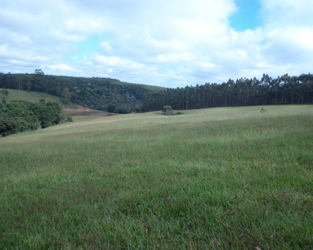 Fazenda à venda - Foto 26