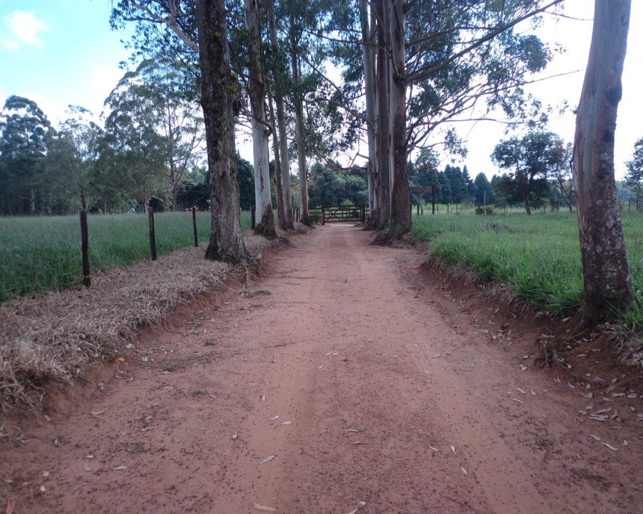 Fazenda à venda - Foto 29