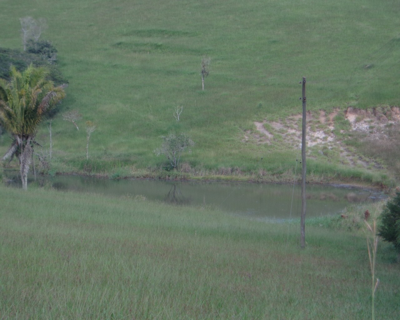 Fazenda à venda - Foto 31