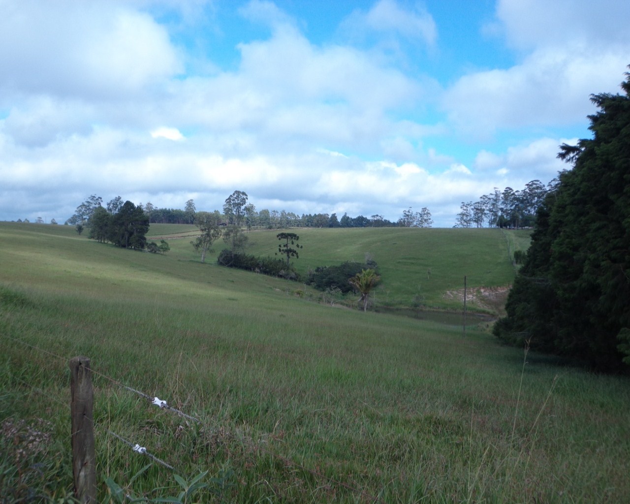 Fazenda à venda - Foto 32