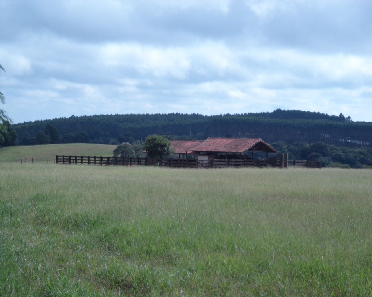 Fazenda à venda - Foto 36