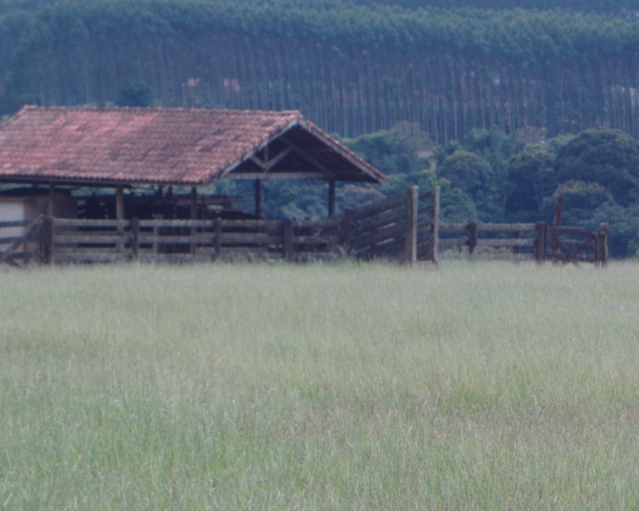 Fazenda à venda - Foto 37