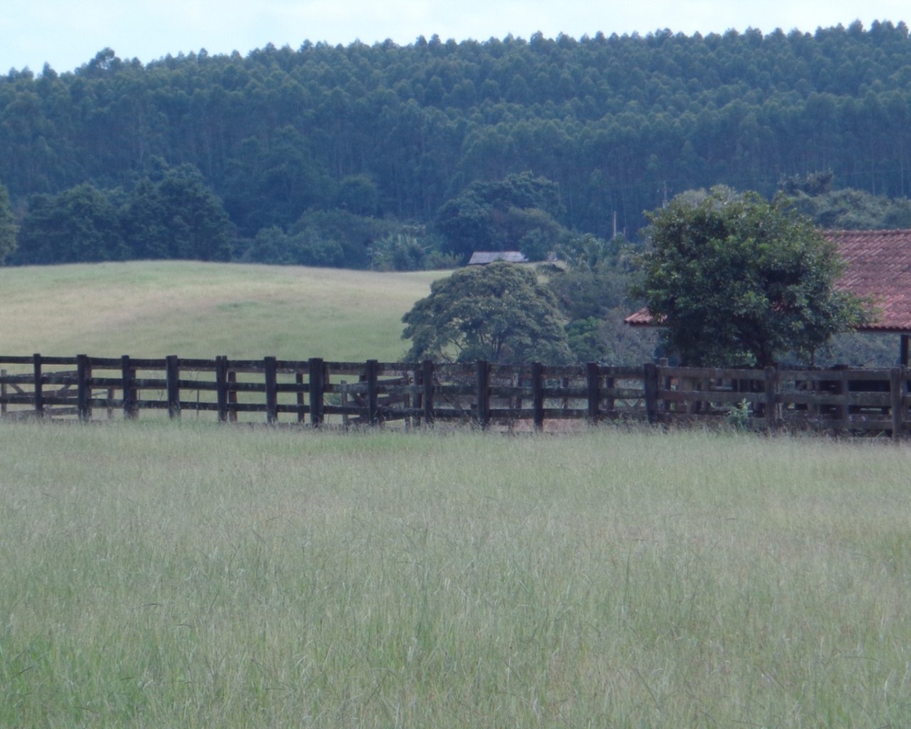 Fazenda à venda - Foto 38